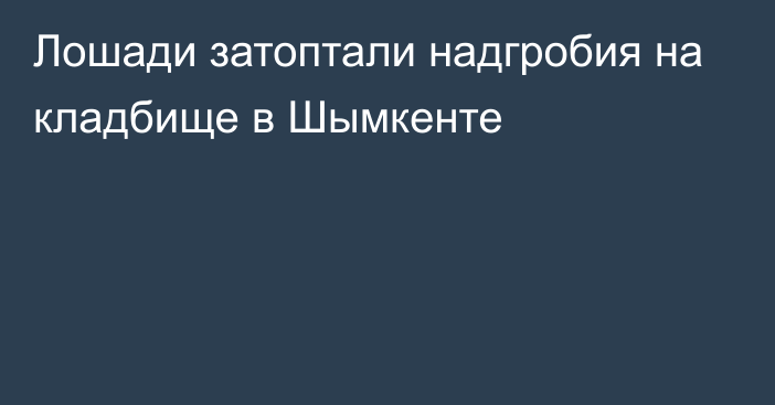 Лошади затоптали надгробия на кладбище в Шымкенте