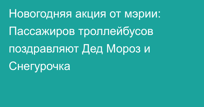 Новогодняя акция от мэрии: Пассажиров троллейбусов поздравляют Дед Мороз и Снегурочка