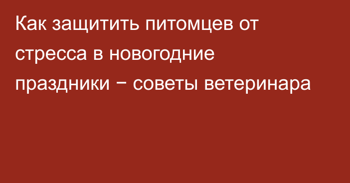 Как защитить питомцев от стресса в новогодние праздники − советы ветеринара