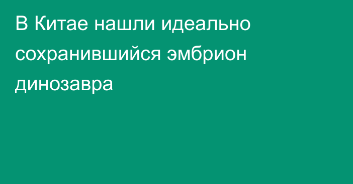 В Китае нашли идеально сохранившийся эмбрион динозавра