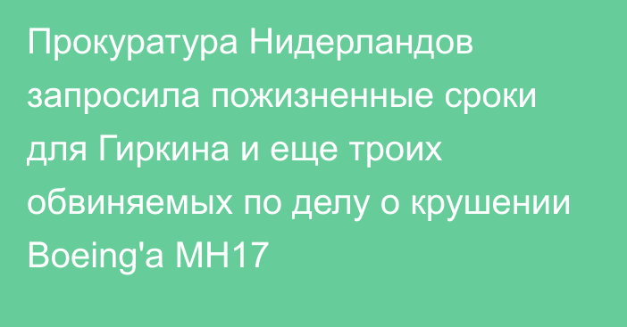 Прокуратура Нидерландов запросила пожизненные сроки для Гиркина и еще троих обвиняемых по делу о крушении Boeing'а MH17