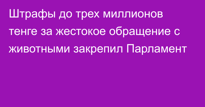 Штрафы до трех миллионов тенге за жестокое обращение с животными закрепил Парламент