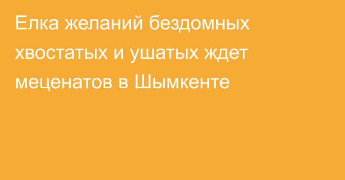 Елка желаний бездомных хвостатых и ушатых ждет меценатов в Шымкенте