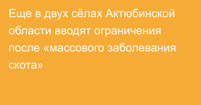 Еще в двух сёлах Актюбинской области вводят ограничения после «массового заболевания скота»