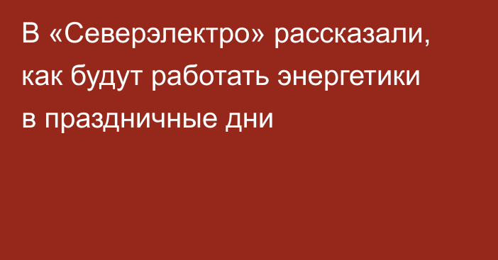 В «Северэлектро» рассказали, как будут работать энергетики в праздничные дни