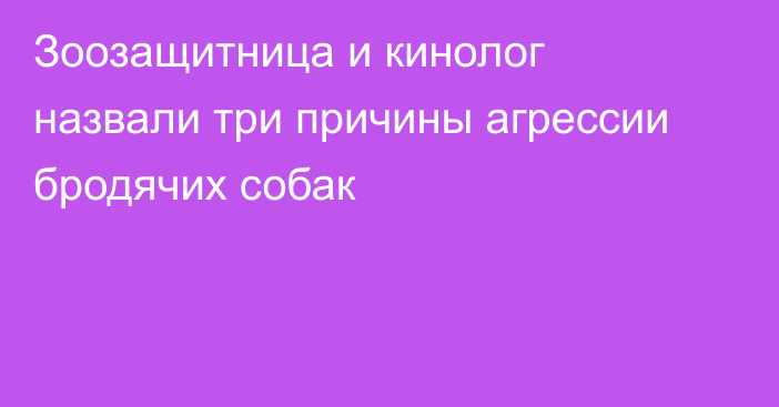 Зоозащитница и кинолог назвали три причины агрессии бродячих собак