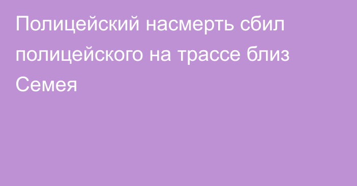 Полицейский насмерть сбил полицейского на трассе близ Семея