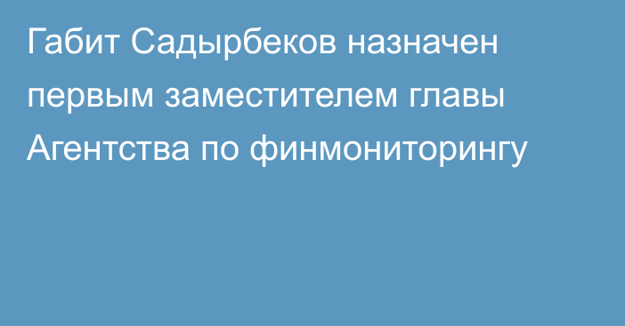 Габит Садырбеков назначен первым заместителем главы Агентства по финмониторингу