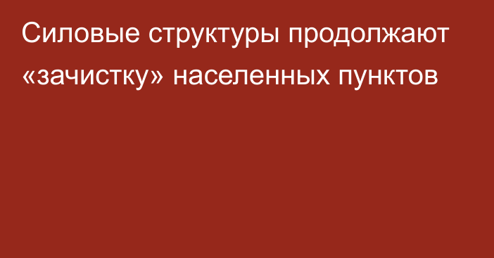 Силовые структуры продолжают «зачистку» населенных пунктов