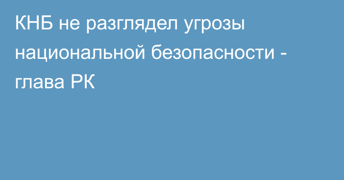 КНБ не разглядел угрозы национальной безопасности - глава РК