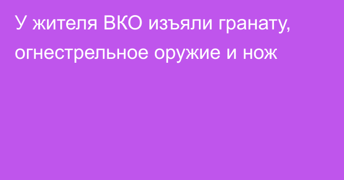 У жителя ВКО изъяли гранату, огнестрельное оружие и нож