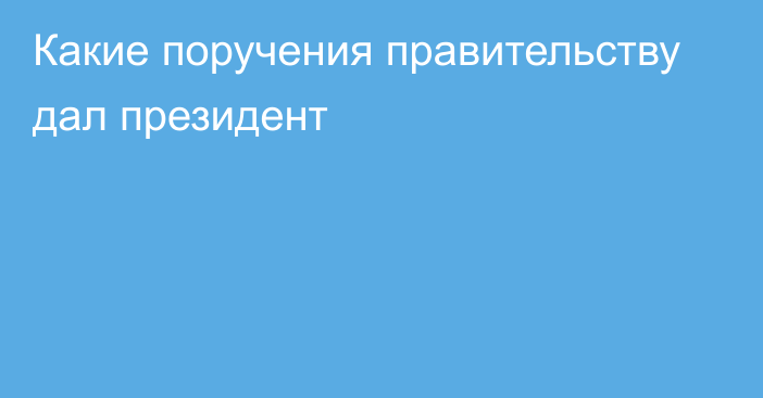 Какие поручения правительству дал президент