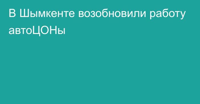 В Шымкенте возобновили работу автоЦОНы