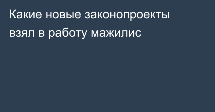 Какие новые законопроекты взял в работу мажилис