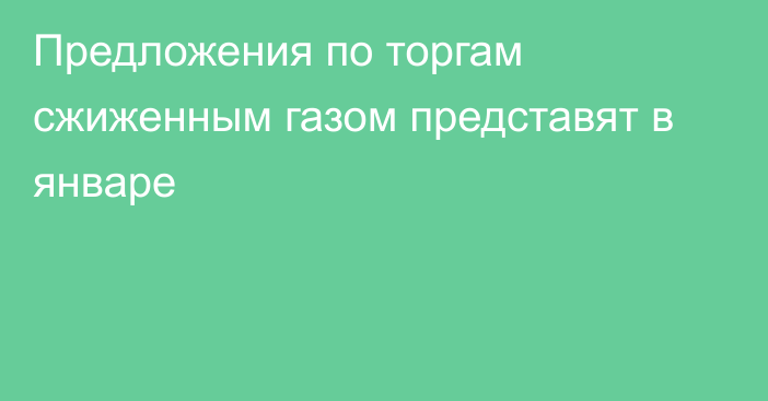 Предложения по торгам сжиженным газом представят в январе