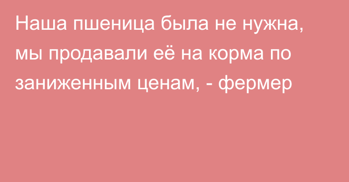 Наша пшеница была не нужна, мы продавали её на корма по заниженным ценам, - фермер