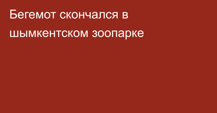 Бегемот скончался в шымкентском зоопарке