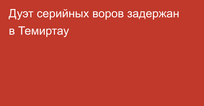 Дуэт серийных воров задержан в Темиртау