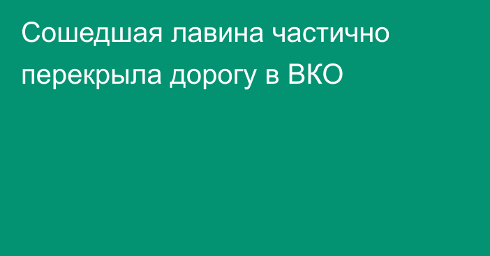 Сошедшая лавина частично перекрыла дорогу в ВКО