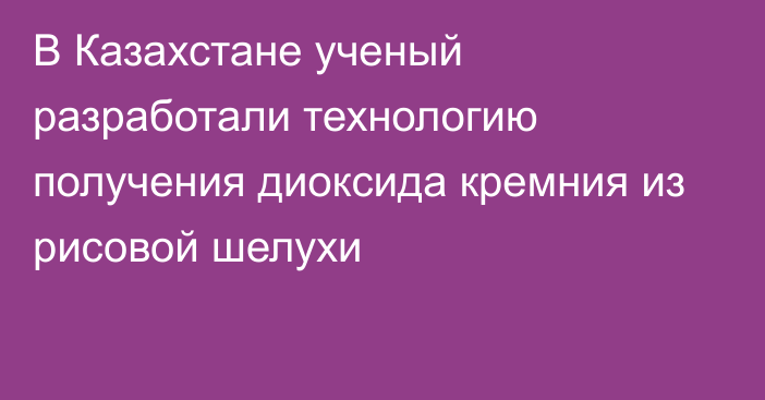 В Казахстане ученый разработали технологию получения диоксида кремния из рисовой шелухи