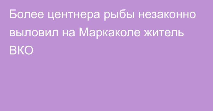 Более центнера рыбы незаконно выловил на Маркаколе житель ВКО