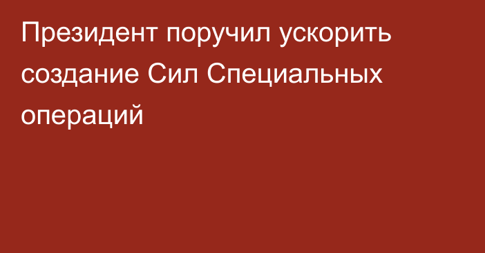 Президент поручил ускорить создание Сил Специальных операций