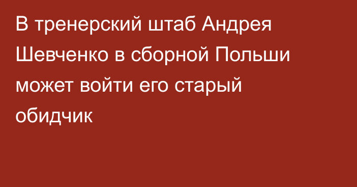 В тренерский штаб Андрея Шевченко в сборной Польши может войти его старый обидчик