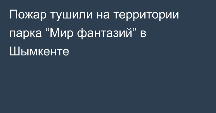 Пожар тушили на территории парка “Мир фантазий” в Шымкенте