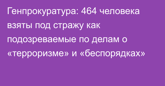 Генпрокуратура: 464 человека взяты под стражу как подозреваемые по делам о «терроризме» и «беспорядках»