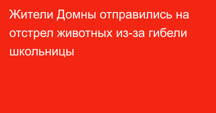 Жители Домны отправились на отстрел животных из-за гибели школьницы