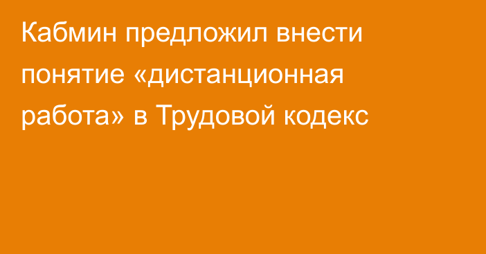 Кабмин предложил внести понятие «дистанционная работа» в Трудовой кодекс