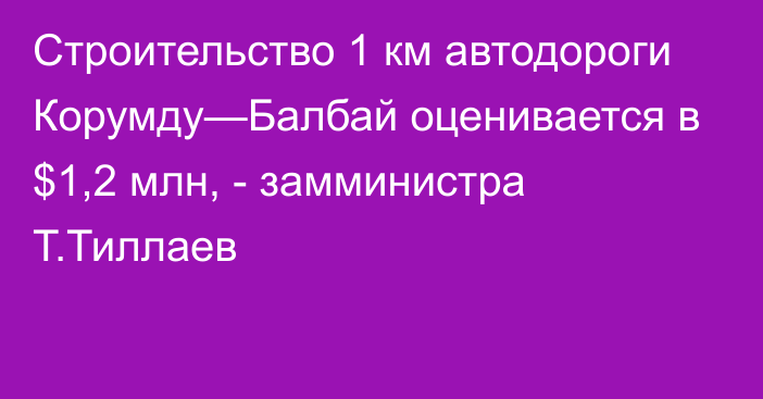 Строительство 1 км автодороги Корумду—Балбай оценивается в $1,2 млн, - замминистра Т.Тиллаев