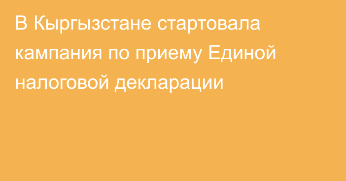 В Кыргызстане стартовала кампания по приему Единой налоговой декларации