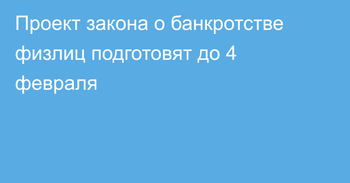 Проект закона о банкротстве физлиц подготовят до 4 февраля