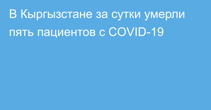 В Кыргызстане за сутки умерли пять пациентов с COVID-19