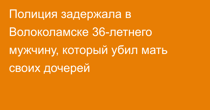 Полиция задержала в Волоколамске 36-летнего мужчину, который убил мать своих дочерей