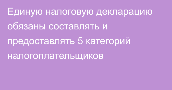 Единую налоговую декларацию обязаны составлять и предоставлять 5 категорий налогоплательщиков