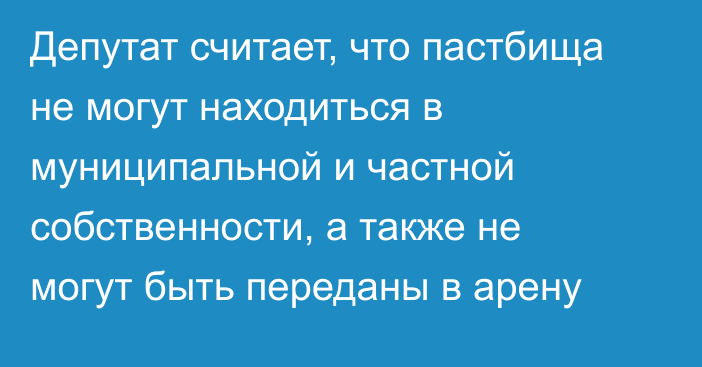 Депутат считает, что пастбища не могут находиться в муниципальной и частной собственности, а также не могут быть переданы в арену