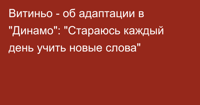 Витиньо - об адаптации в 