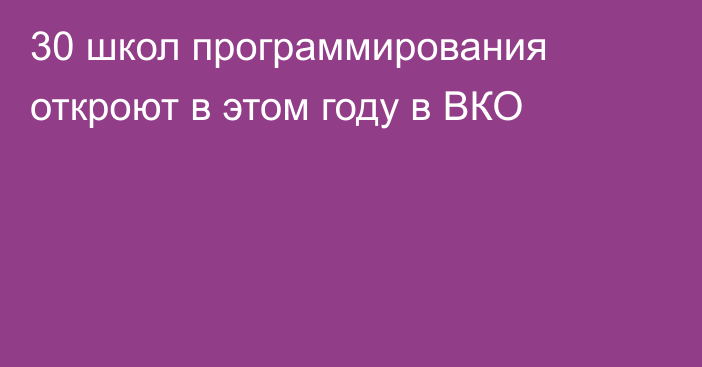 30 школ программирования откроют в этом году в ВКО