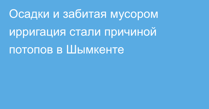 Осадки и забитая мусором ирригация стали причиной потопов в Шымкенте