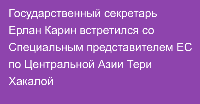 Государственный секретарь Ерлан Карин встретился со Специальным представителем ЕС по Центральной Азии Тери Хакалой