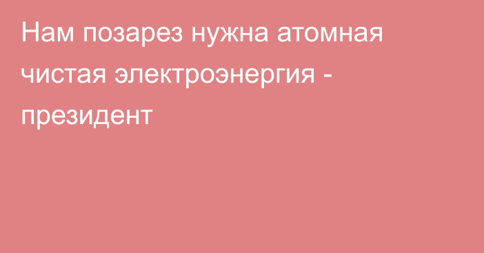 Нам позарез нужна атомная чистая электроэнергия - президент