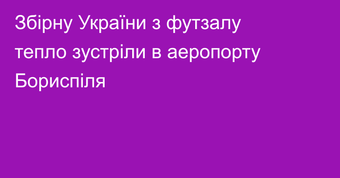 Збірну України з футзалу тепло зустріли в аеропорту Бориспіля