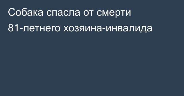 Собака спасла от смерти 81-летнего хозяина-инвалида