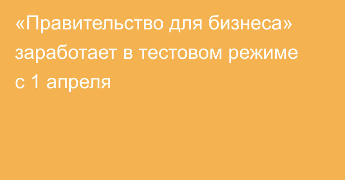 «Правительство для бизнеса» заработает в тестовом режиме с 1 апреля