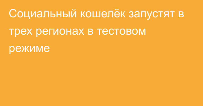 Социальный кошелёк запустят в трех регионах в тестовом режиме