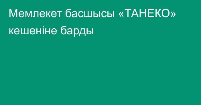 Мемлекет басшысы «ТАНЕКО» кешеніне барды