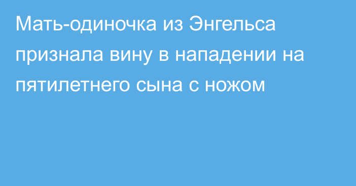 Мать-одиночка из Энгельса признала вину в нападении на пятилетнего сына с ножом