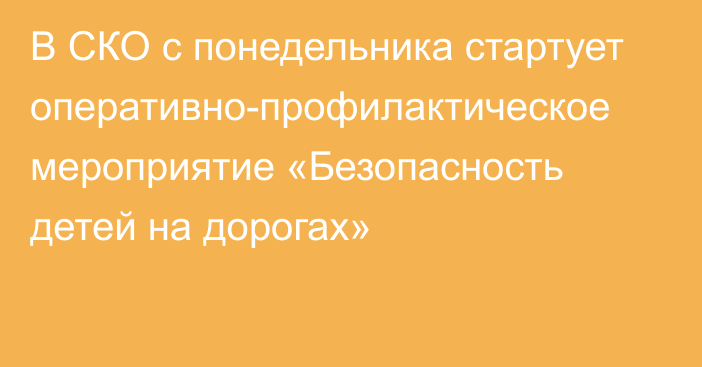 В СКО с понедельника стартует оперативно-профилактическое мероприятие «Безопасность детей на дорогах»